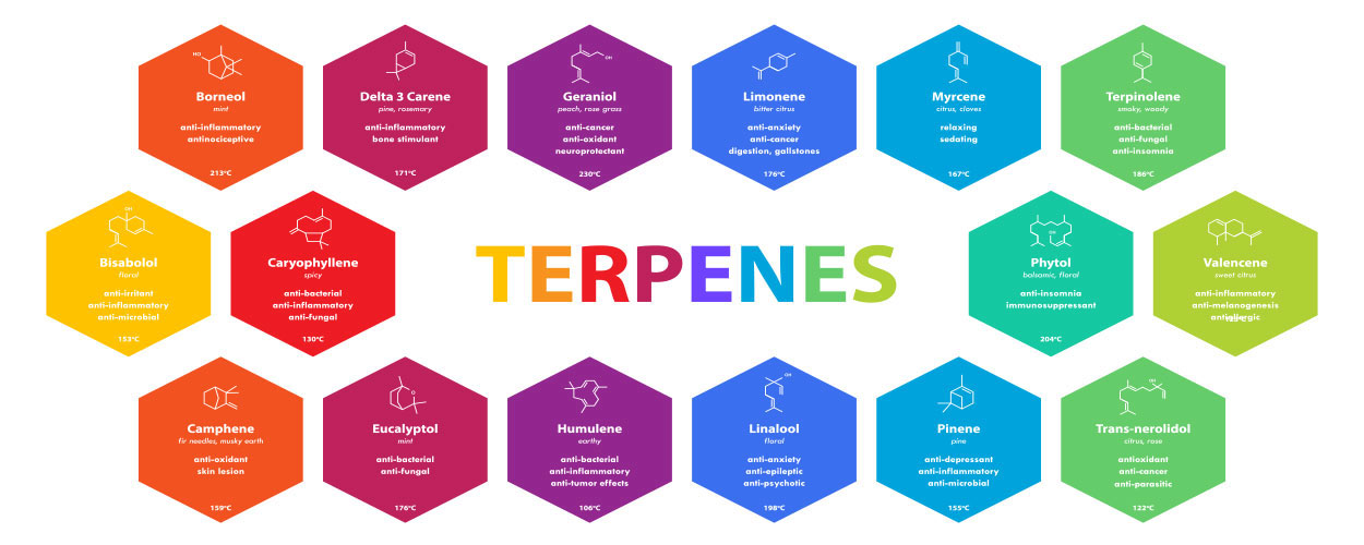 terpenes