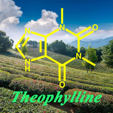 Teofilina