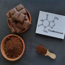 Teobromina